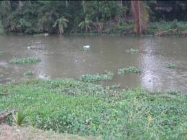 Ảnh 11 Nguồn nước không ĐBVS Ảnh 12 Chăn nuôi gia cầm trực tiếp trên nguồn 10