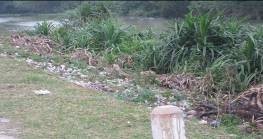 Ảnh 3 5 Xả rác bừa bãi bên bờ sông Ảnh 3 6 Hoạt động thu gom rác thải 5