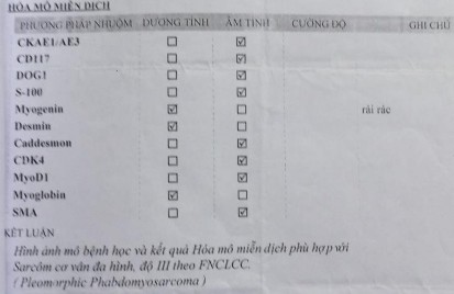 Hình 4 4 Kết quả HMMD u cơ vân ác tính bệnh nhân Phạm Văn T Hình 4 5 Hình ảnh 3