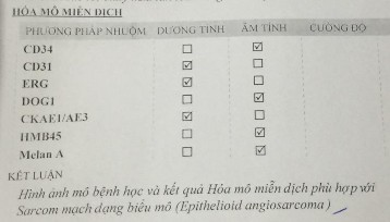 Hình 4 8 Kết quả HMMD phù hợp với sarcoma mạch dạng biểu mô Epithelioid 8