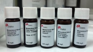 Hình 2 3 Kháng thể đặc hiệu sử dụng trong HMMD Sơ đồ 2 1 Các dấu ấn miễn 1