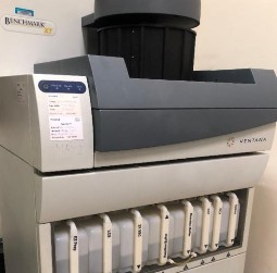 A B Hình 2 4 Hệ thống máy làm HMMD của Ventana A BenchMark XT cũ và B BenchMark 3