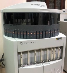 A B Hình 2 4 Hệ thống máy làm HMMD của Ventana A BenchMark XT cũ và B BenchMark 4