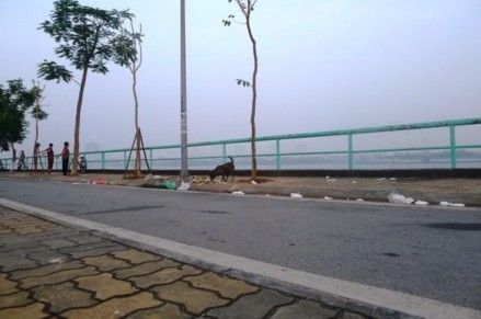 Hình 3 6 Rác thải vứt bừa bãi ở lòng đường vỉa hè hồ Tây Nguồn Tác 2