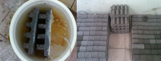 Hình 1 Hình ảnh viên EBB cải tiến Hình 2 Sơ đồ vị trí và hình ảnh Bệnh 1