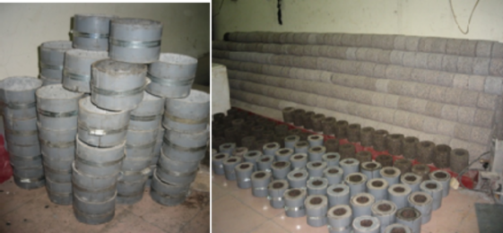 Hình 1 Hình ảnh viên EBB cải tiến Hình 2 Sơ đồ vị trí và hình ảnh Bệnh 2