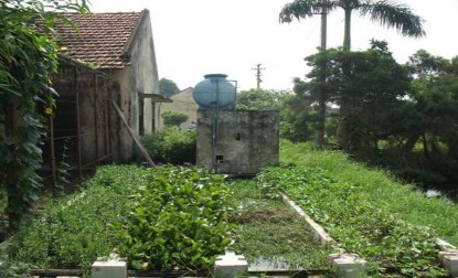 Hình 1 9 Xử lý nước thải bằng thực vật thủy sinh 17 1 2 9 Phương pháp 1