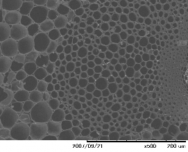 Hình 1 14 Hình ảnh SEM của than cacbon hóa ở nhiệt độ 640 0 C g Chế phẩm Sagi 2