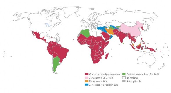 Hình 1 1 Tình hình sốt rét trên thế giới từ năm 2000 2018 127 Tỷ lệ hiện 1