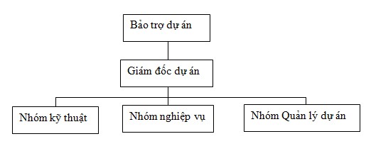 Hình 3 4 Mô hình quản lý dự án tại Vietinbank Nguồn Tác giả thực hiện 1