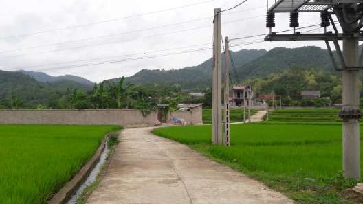 Đoạn đường làng vào thôn Làng Đăng Nguồn Ảnh của tác giả tháng 6 năm 6