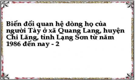 Biến đổi quan hệ dòng họ của người Tày ở xã Quang Lang, huyện Chi Lăng, tỉnh Lạng Sơn từ năm 1986 đến nay - 2