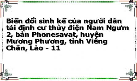Biến đổi sinh kế của người dân tái định cư thủy điện Nam Ngưm 2, bản Phonesavat, huyện Mương Phương, tỉnh Viêng Chăn, Lào - 11
