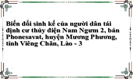 Biến đổi sinh kế của người dân tái định cư thủy điện Nam Ngưm 2, bản Phonesavat, huyện Mương Phương, tỉnh Viêng Chăn, Lào - 3