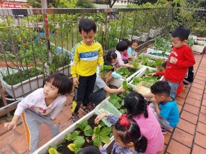 HOẠT ĐỘNG CỦA TRẺ TRONG QUÁ TRÌNH THỰC NGHIỆM Nuôi Cóc – MN05 Giờ ăn – MN05 10