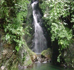 Thác Ngọc Thác Chín Tầng Nguồn VQG Xuân Sơn 2013 MỘT SỐ HÌNH ẢNH HOẠT 14