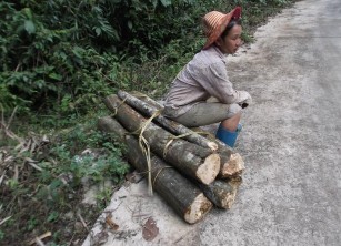 MỘT SỐ HÌNH ẢNH HOẠT ĐỘNG SINH KẾ Lên rừng lấy củi Sơ chế cây tầm gửi 16