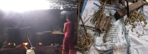 MỘT SỐ HÌNH ẢNH HOẠT ĐỘNG SINH KẾ Lên rừng lấy củi Sơ chế cây tầm gửi 18