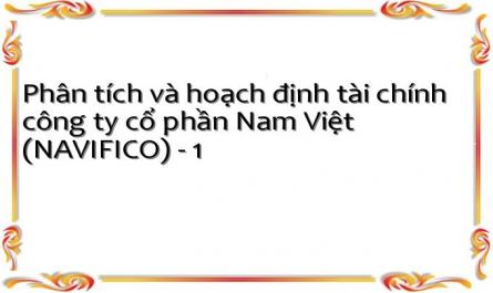 Phân tích và hoạch định tài chính công ty cổ phần Nam Việt (NAVIFICO) - 1
