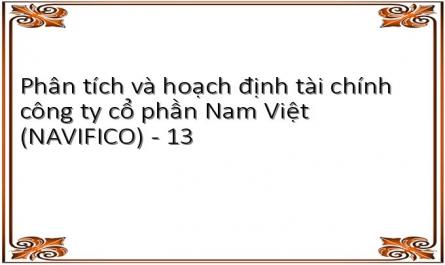 Phân tích và hoạch định tài chính công ty cổ phần Nam Việt (NAVIFICO) - 13