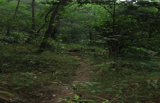 Đường mòn đi Hồ Xạ Hương Hồ Xạ Hương Tuyến1 Văn phòng VQG – Trung tâm 2