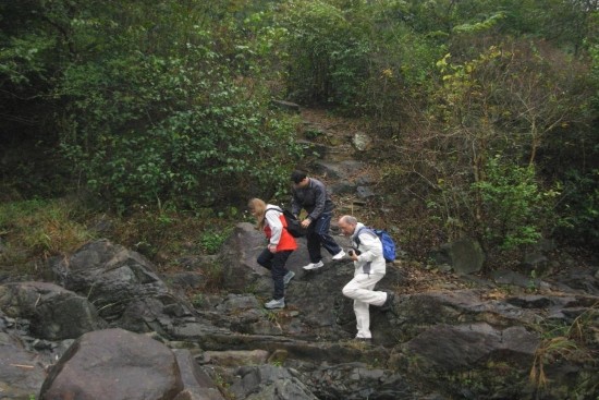 Khu vực suối Trường Sinh Trung tâm cứu hộ Gấu Tam Đảo 7