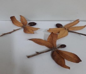 Ví dụ để chuẩn bị môi trường cho hoạt động chắp ghép ―Con Chuồn 1