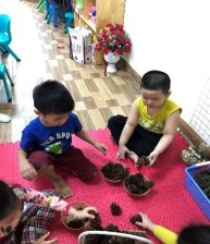 Hình 3 2 Cùng nhau quan sát lựa chọn sắp xếp vật liệu thiên nhiên trang trí 5