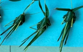 Hình 3 4 Mô hình những chú Cào cào tết từ lá dừa 3 2 2 3 Điều kiện thực 1