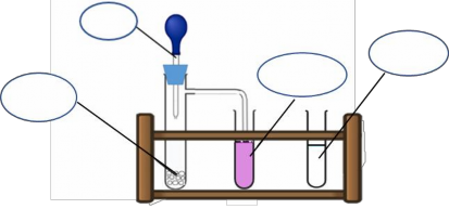 Nhóm HS thảo luận nhanh về dụng cụ hóa chất cách tiến hành 1