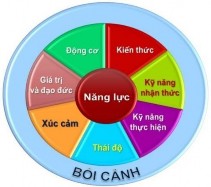Hình 1 2 Cấu trúc đa thành tố của năng lực 85 2
