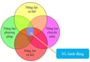 Hình 1 3 Sơ đồ cấu trúc chung của năng lực hành động 38 Hai cách tiếp cận 1