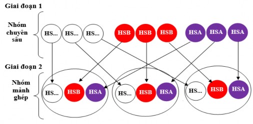 Hình 1 16 Các giai đoạn tổ chức DH sử dụng kĩ thuật các mảnh ghép Khi 14