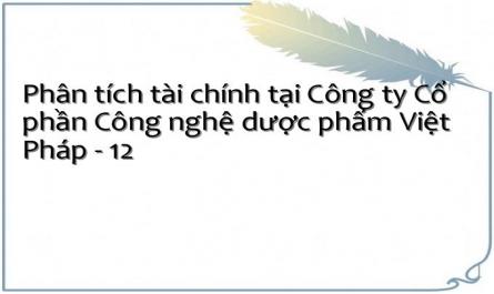 Phân tích tài chính tại Công ty Cổ phần Công nghệ dược phẩm Việt Pháp - 12