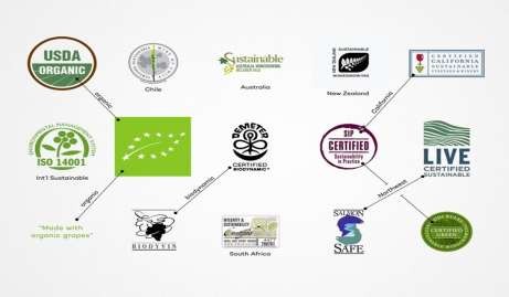 Hình 3 1 Một số chứng nhận hữu cơ tiêu biểu Với những nỗ lực này nhiều 1