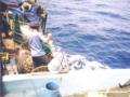 Đánh giá hiệu quả kinh tế nghề câu cá ngừ đại dương ở tỉnh Bình Định - 10