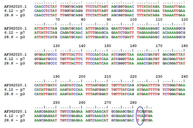 Chương 4 KẾT LUẬN VÀ KIẾN NGHỊ 4 1 KẾT LUẬN 1 Từ 150 chủng Bacillus cereus 4