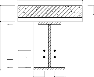 1200 120 x Nc h 300 254 6 Nf1 24 120 80 50 50 150 Nw hh Nr2 Nr1 Nw hl2 Nw hl1 Nf2 Hình 3 24 13