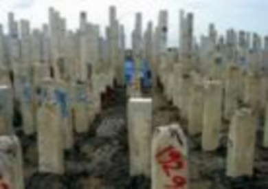 Hình1 3 – Sự cố cọc bị nghiêng lệch – Nhà máy xử lý nước thải Bình 3