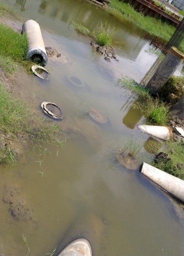 Hình 1 8 – Cọc bị nghiêng lệch khi tiến hành đào đến cao độ đáy đài 3