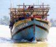 Hình 2 9 Nguyên liệu cá tạp từ các tàu khai thác phân phối cho các vùng NTTS 2