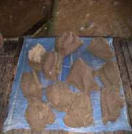 Hình 1 10 Nguyên liệu cá tạp được nông hộ tự chế thức ăn cho NTTS Trong nuôi 6