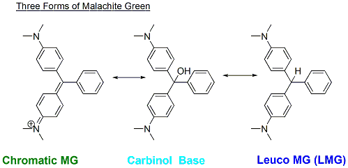 Hình 2 2 Ba dạng của MG Tính chất MG là một loại thuốc nhuộm hữu cơ màu 2