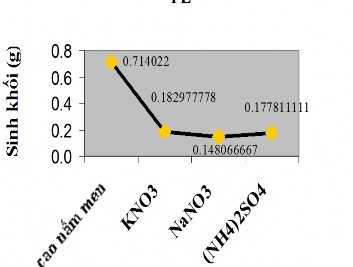 7 Hình 3 21 Đồ thị thể hiện ảnh hưởng của nguồn N đến sinh khối nấm 1