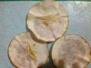 Tinh bột Hình 3 24 Ảnh hưởng của nguồn C lên sinh khối nấm Purpureocillium 3