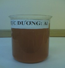 Bể 2 Fe cực dương Al cực âm bọt khí ở cực âm được sinh ra không 2