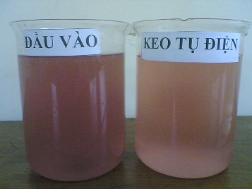 Hình 4 9 Nước thải đầu vào và nước thải đầu ra của bể keo tụ điện hóa 1