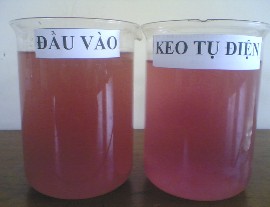 Hình 4 37 Nước thải đầu vào và nước thải đầu ra của bể keo tụ điện 1