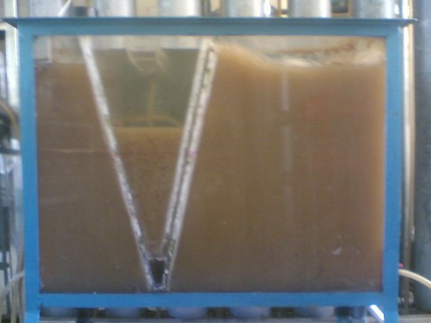 Hình 11 Bể USBF không giá bám Hình 12 Bể USBF có giá bám 11