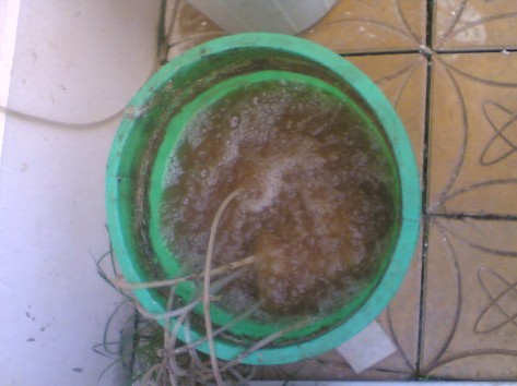 Hình 5 Thùng nuôi bùn Hình 6 Thùng nuôi giá bám Hình 7 Bộ phận phân phối khí 5